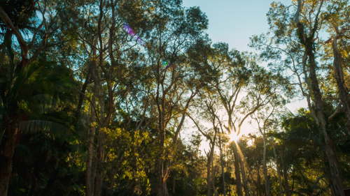 Australian nature