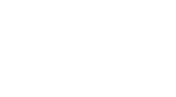 Insight Systems